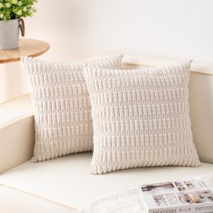 Decorative Throw Pillow Covers Pack of 2 18x18 Inch